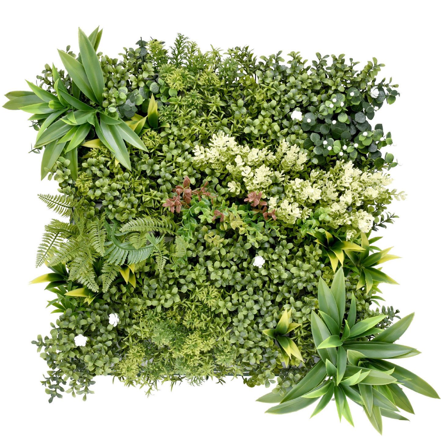 ジェルグリーン